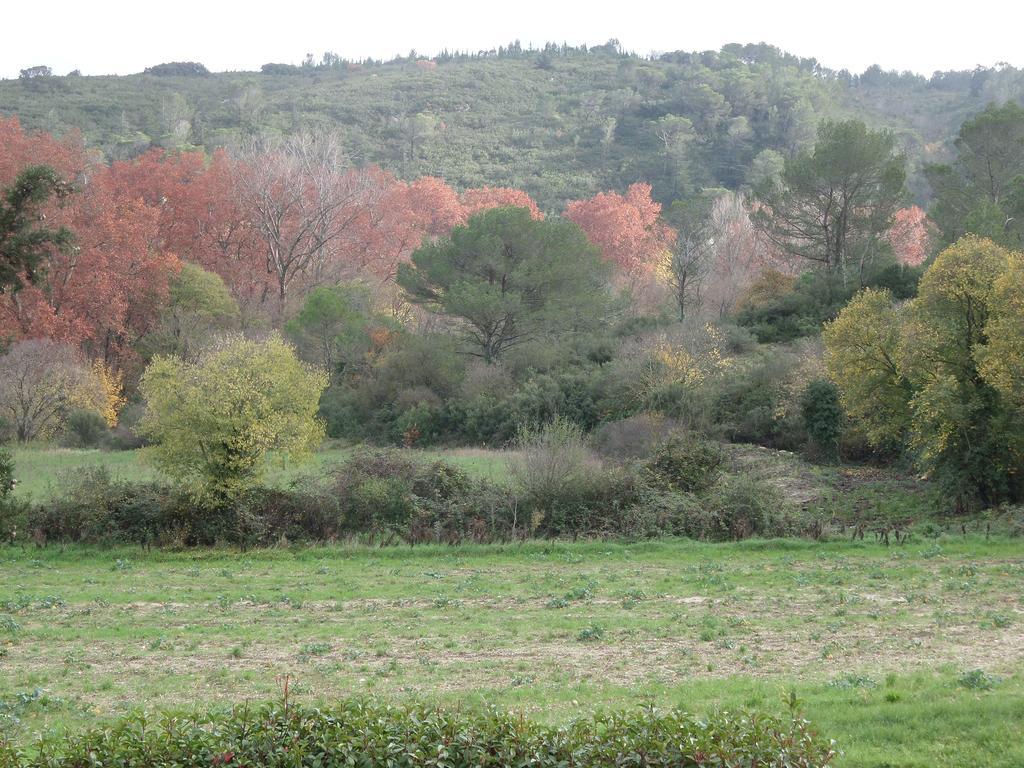 Appart'17-Domaine De La Source Uzes Room photo