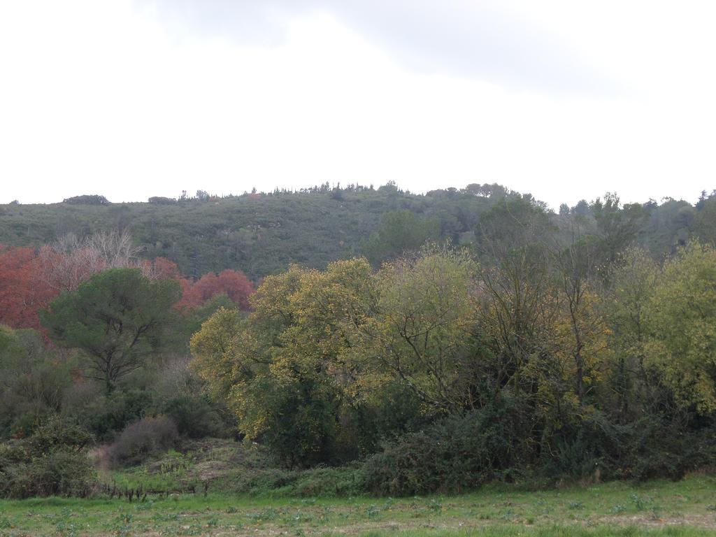 Appart'17-Domaine De La Source Uzes Exterior photo